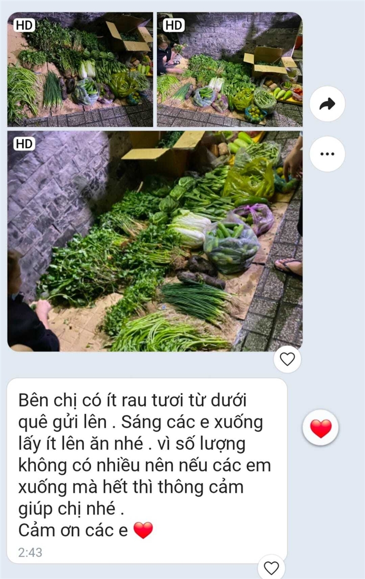 tình người tâm dịch